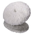 3M - MMM-5753 – Buffing Pad